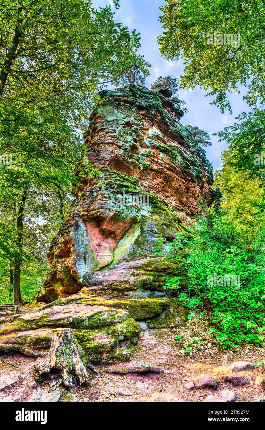 Sandstone rock in the Palatinate Forest. Palatinate Forest-North Vosges Biosphere Reserve, Germany Stock Photo
