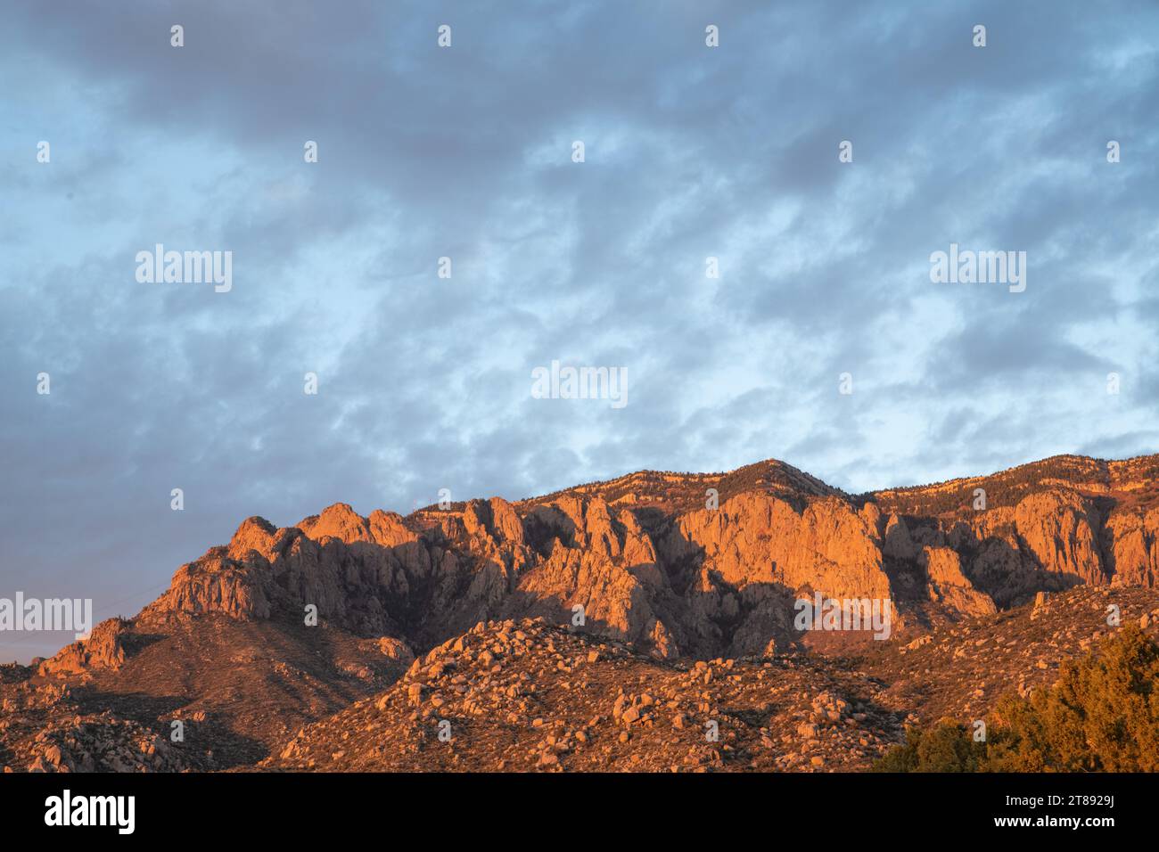 The Sandia Mountains illuminated by the light of the setting sun, casting the rocks in orange and pink colors, with a light sky with high, thin clouds Stock Photo