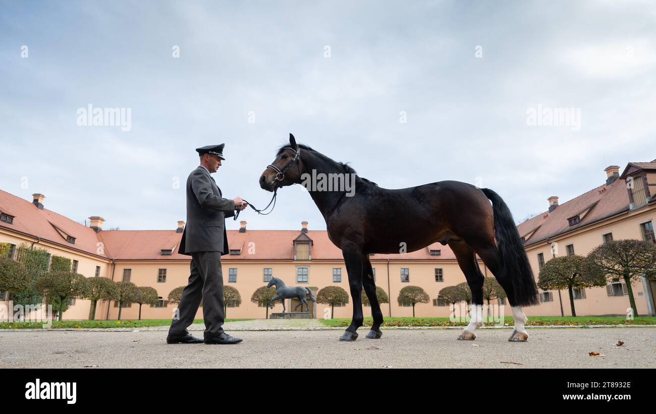 PRODUCTION - 16 November 2023, Saxony, Moritzburg: Phil Teifel, stud keeper at Moritzburg State Stud, stands in front of the life-size bronze sculpture of Elton by Eros, an important sire in the breeding of Saxon-Thuringian heavy warmbloods, during a photo session with "Lancelo", a Saxon-Thuringian heavy warmblood stallion and national champion of 4- and 5-year-old driving horses in 2023, in the historic courtyard of the state stud. The joint horse breeding association of the two Free States closes the 2023 breeding year with the presentation of young stallions of the Saxon-Thuringian heavy wa Stock Photo