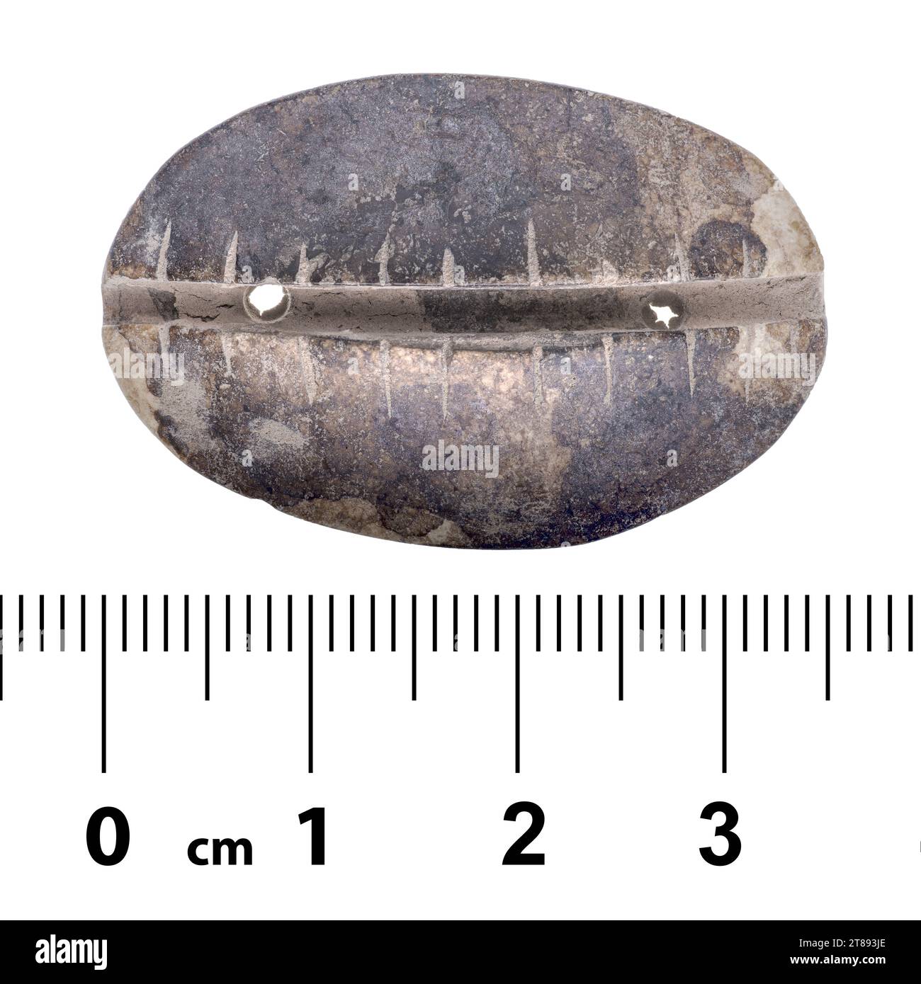 Ancient currency shell hi-res stock photography and images - Alamy