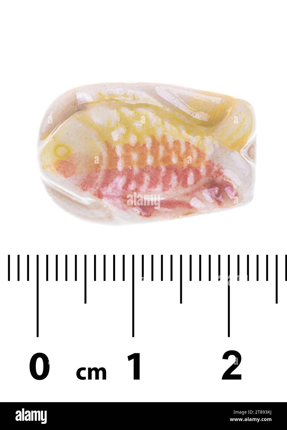 Thailand small fish Cut Out Stock Images Pictures Alamy