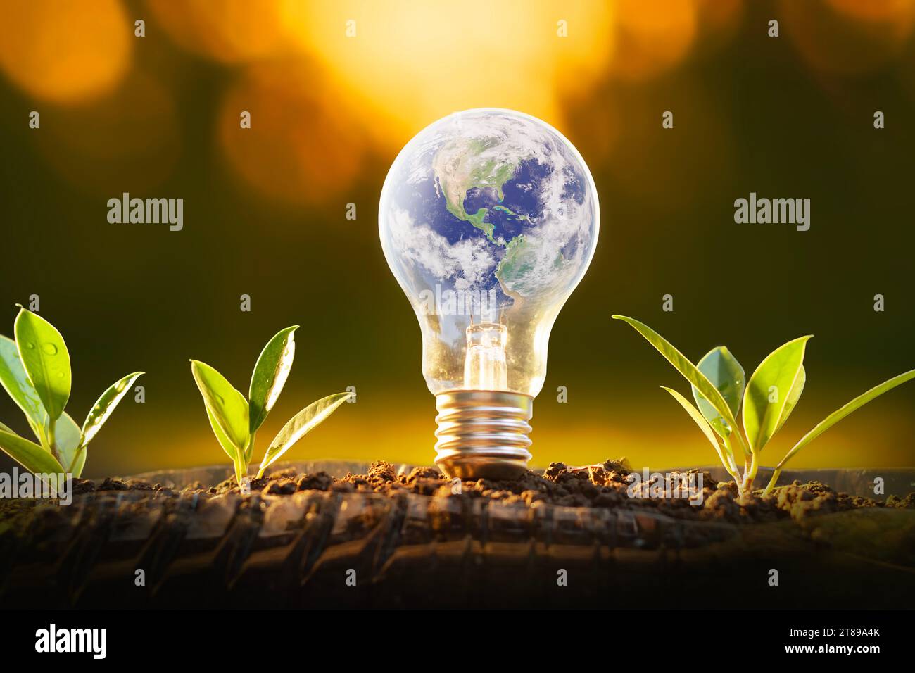 Global in light bulb. Ecologically friendly and sustainable environment Stock Photo