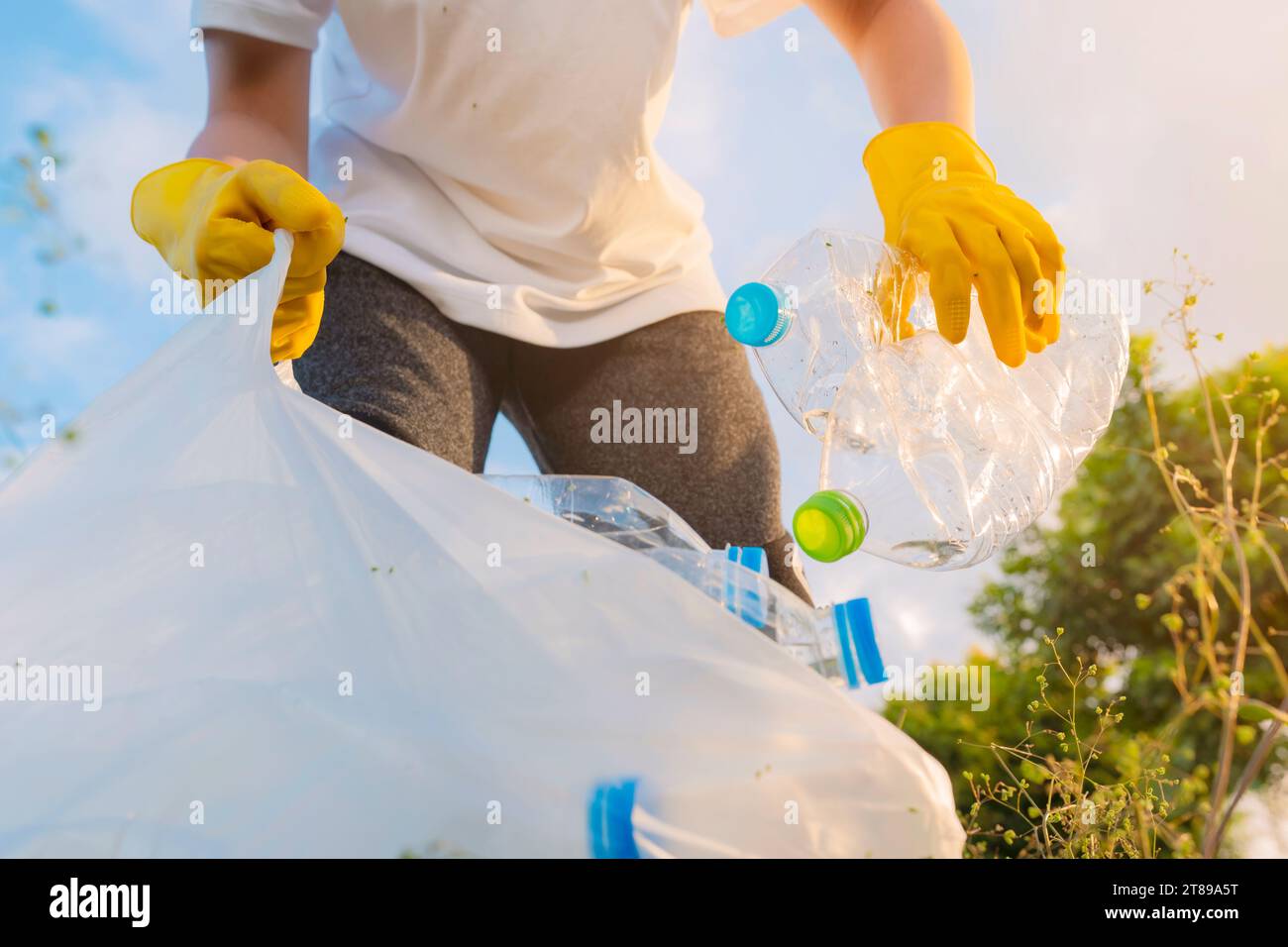 Volunteer teenage boys are holding garbage bags and Collecting plastic bottle waste at public parks for recycling, Reuse, and waste management concept Stock Photo