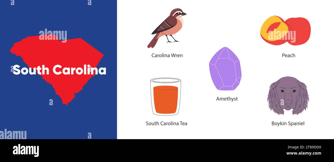 South Carolina states symbol object boykin spaniel peach amethyst carolina wren America country illustration Stock Vector
