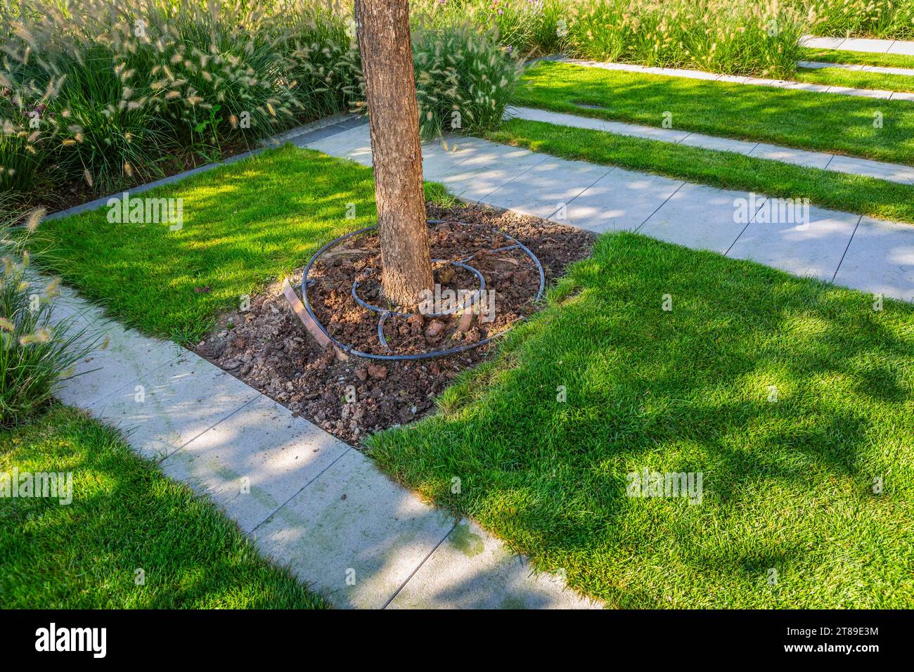 Automatic garden irrigation spray system hi-res stock photography and ...