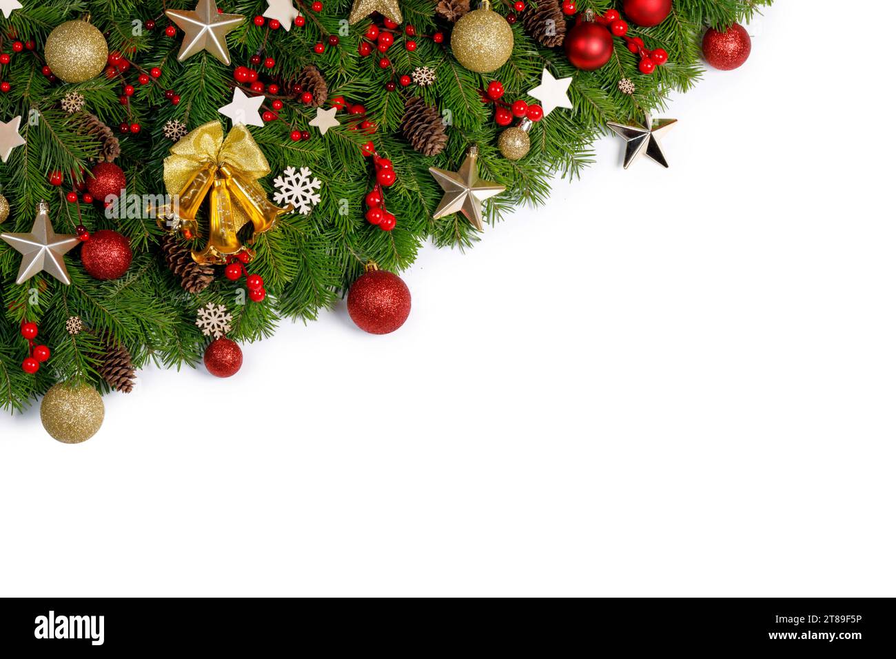 Christmas Border frame of tree branches on white background with copy ...