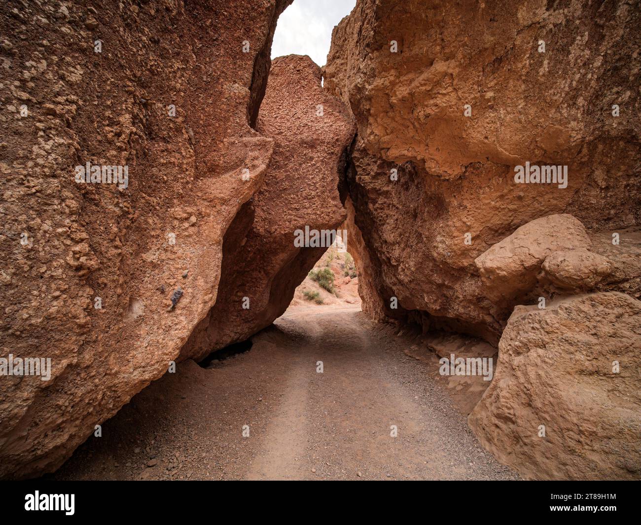 Driving through large stones at the bottom of the Valley of Castles. Charyn Canyon National Park. A small replica of the US Grand Canyon Stock Photo
