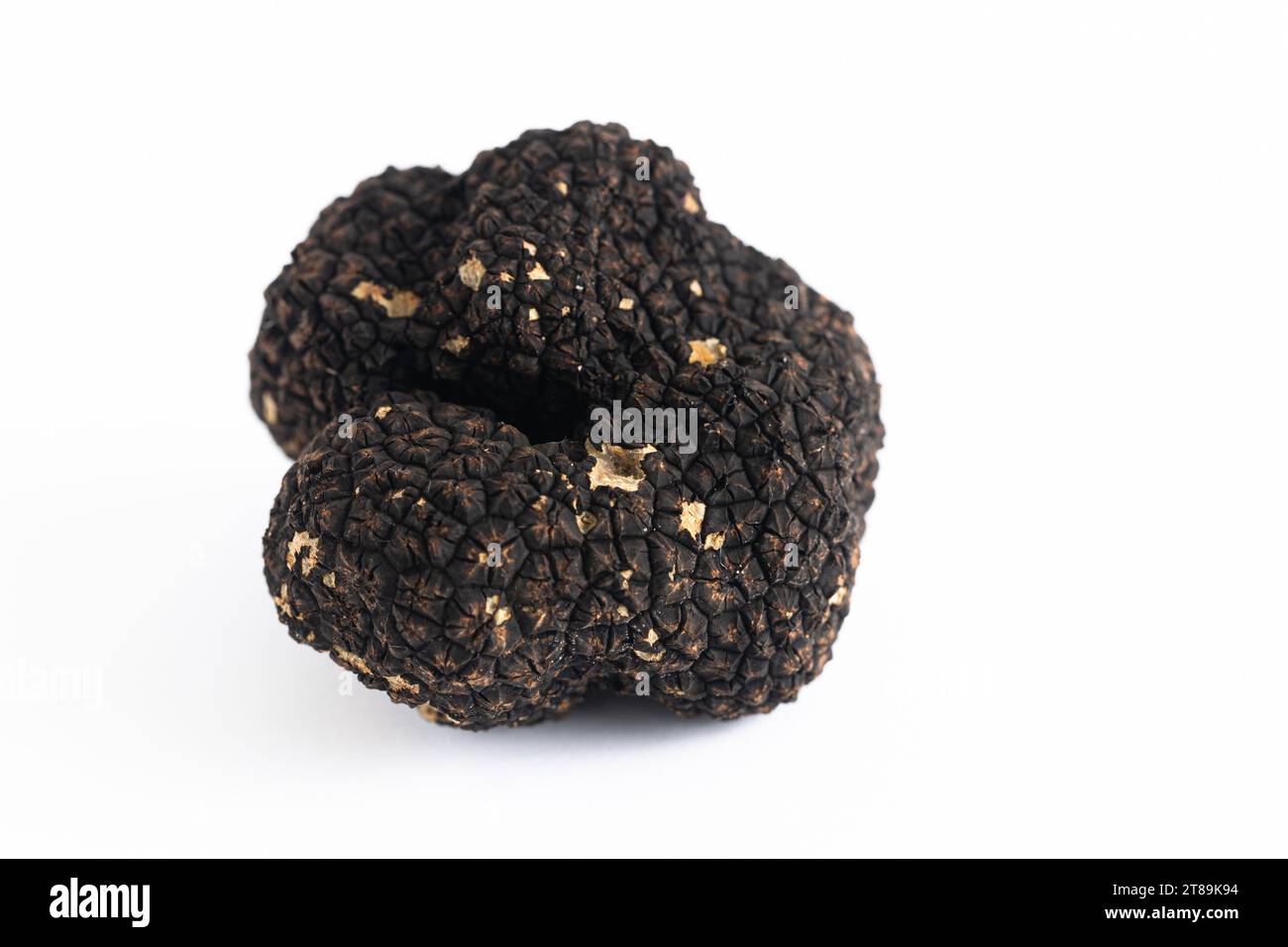 Exquisite Black Truffle on a Clean White Surface Stock Photo