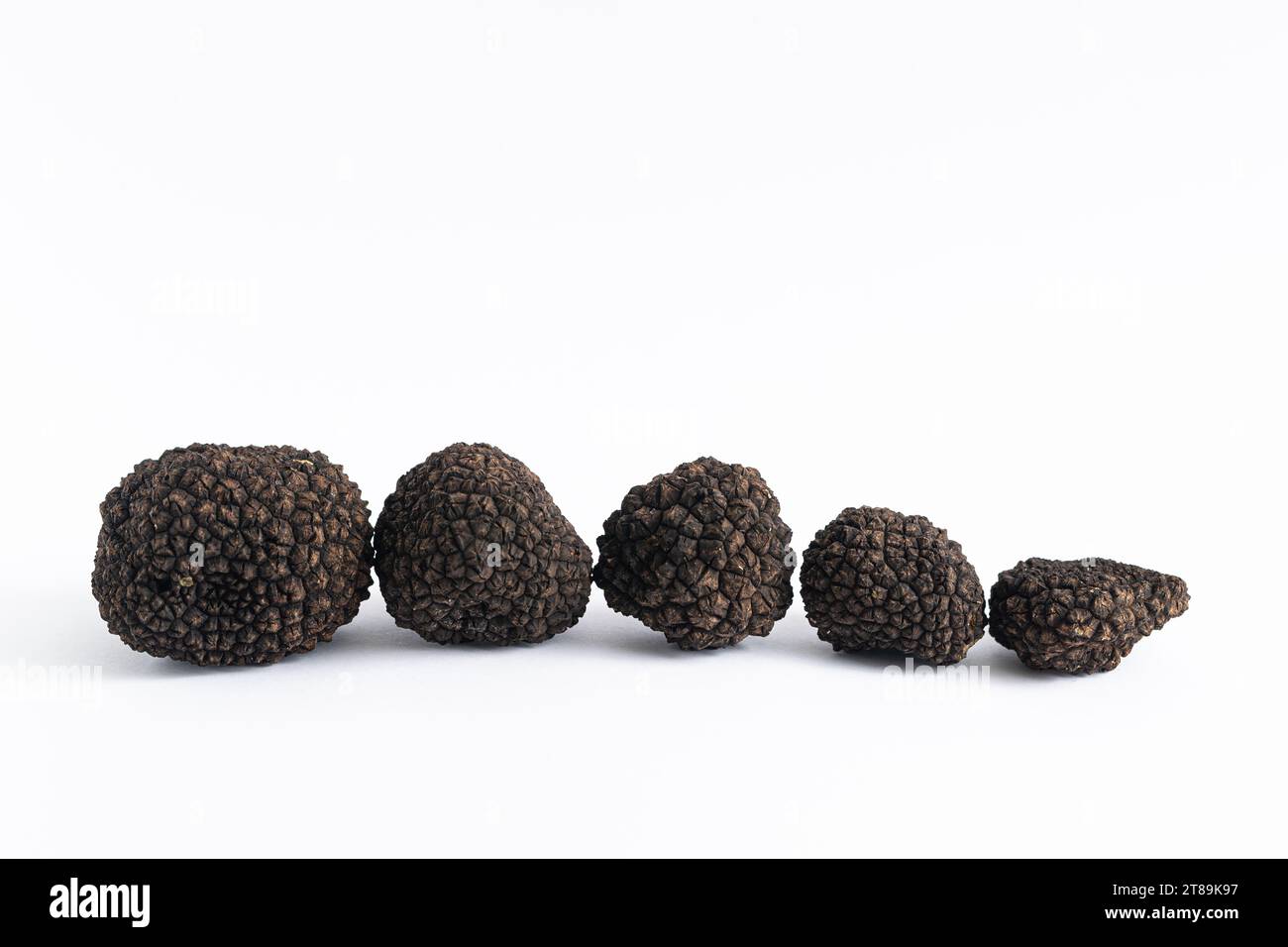 Neat Arrangement of Fresh Black Truffles on a White Background Stock Photo