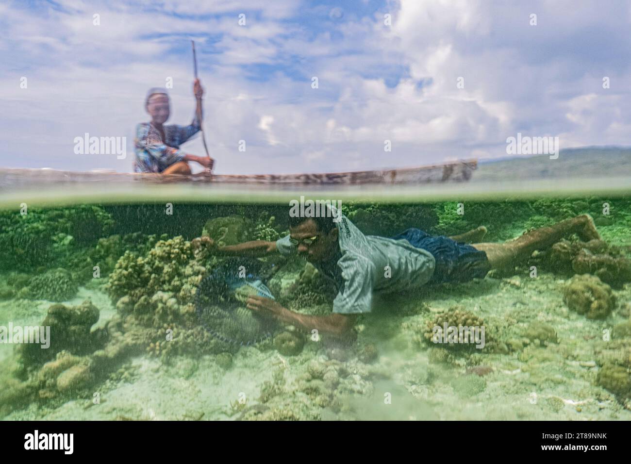 Bajo bahari hi-res stock photography and images - Alamy