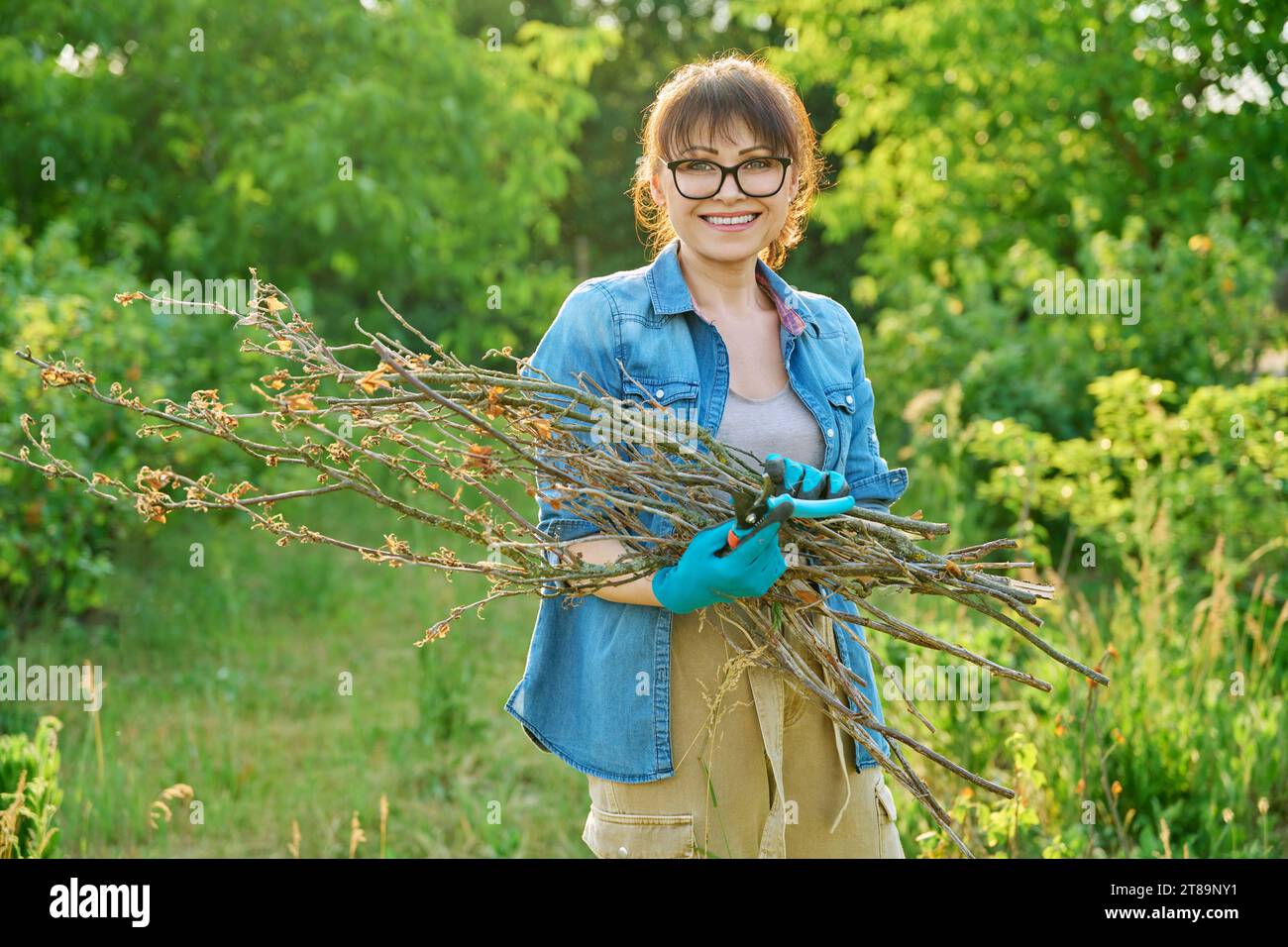Woman with dry branches of blackcurrant bushes, pruning shears in garden Stock Photo
