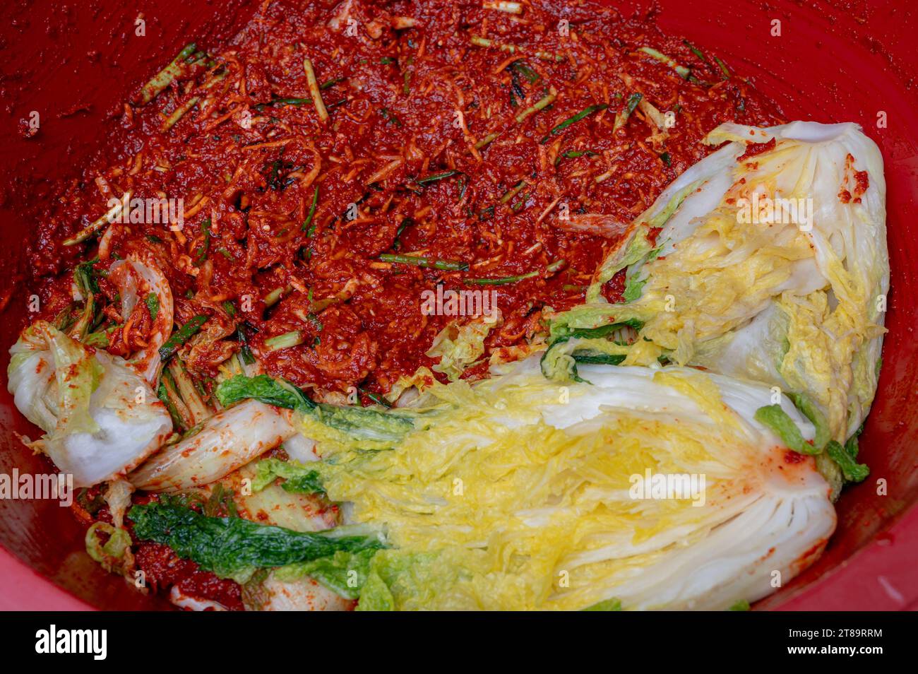 The process of making a traditional Korean dish, kimchi. Close-up of a salted cabbages and seasonings for kimchi Stock Photo