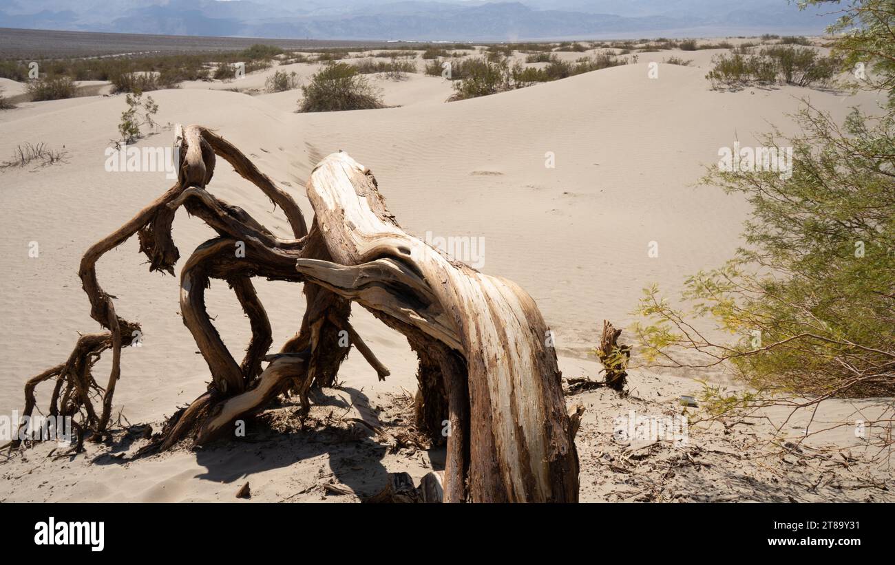 Death valley high temperature hi-res stock photography and images - Alamy