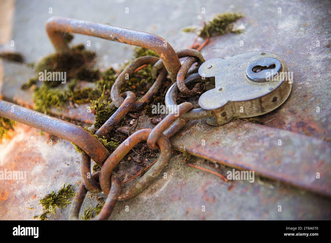 a close-up of a metal trapdoor fastened with a chain and an old padlock with keys  / un gros plan sur une trappe en métal fermée par une chaine et un Stock Photo