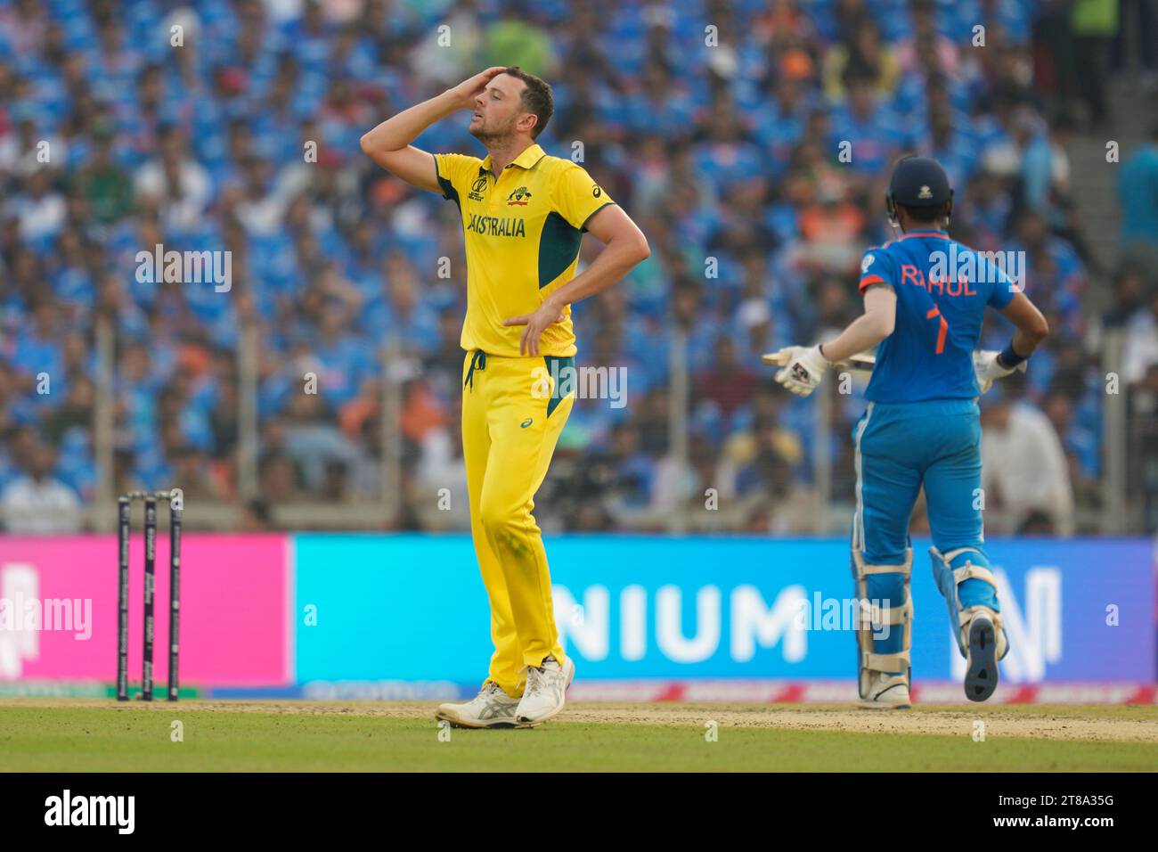 Josh Hazlewood'S Shocking Stats: His Worst Bowling Day Ever? - a86lt70