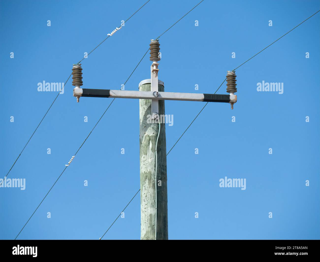Bird diverters on power lines, Rottnest Island, Western Australia Stock Photo
