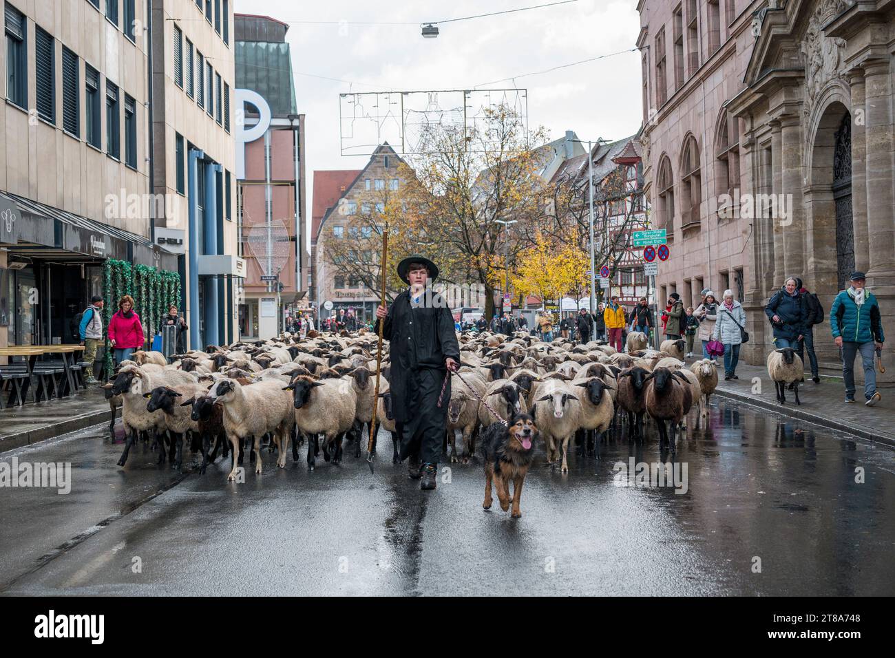 Nuremberg, Germany. 19th Nov, 2023. Tim Gackstatter, son of shepherd