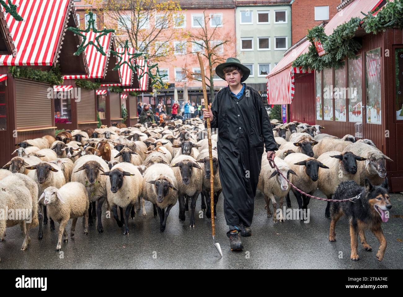 Nuremberg, Germany. 19th Nov, 2023. Tim Gackstatter, son of shepherd