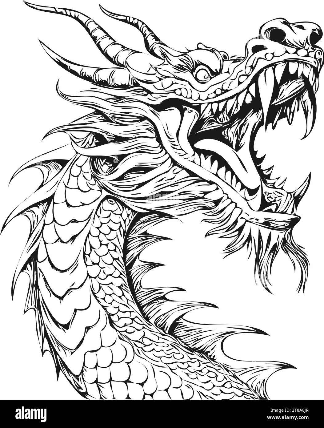Year of the Dragon Sketch Vintage Engraving and Hand Drawn Illustration
