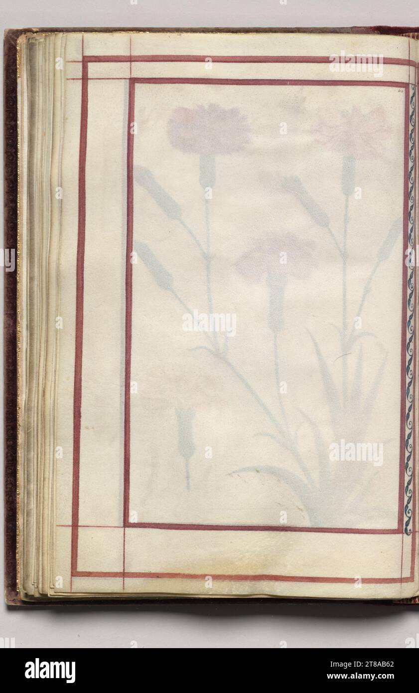 Border, folio 31 (verso), from Florilegium (A Book of Flower Studies), 1608. France. Watercolor, ink, silver and gold over occasional traces of pencil, on vellum; sheet: 31.1 x 20.2 cm (12 1/4 x 7 15/16 in.). Stock Photo