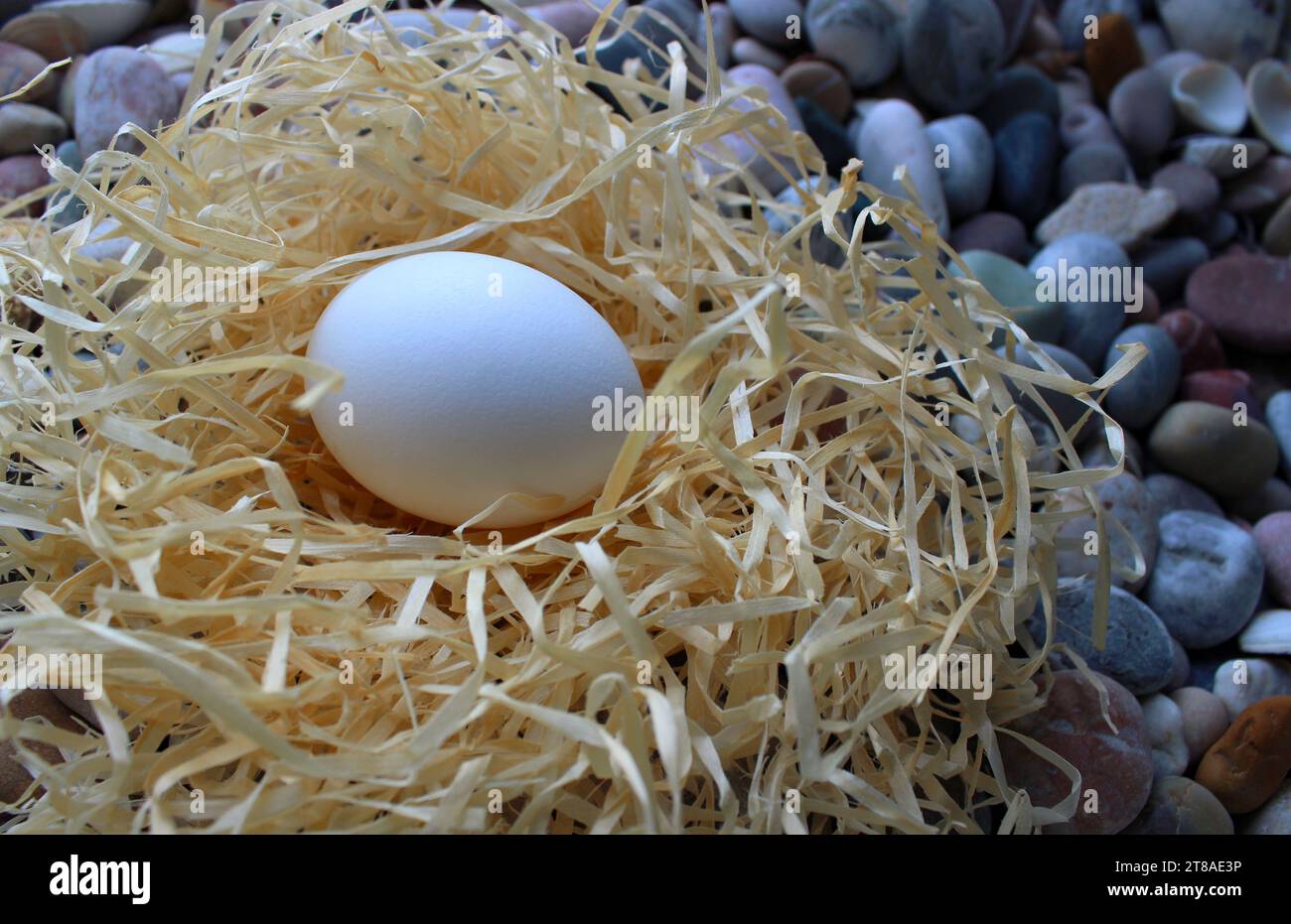 Straw Nest With Chicken Egg On A Pebbles Detailed Stock Photo Stock Photo