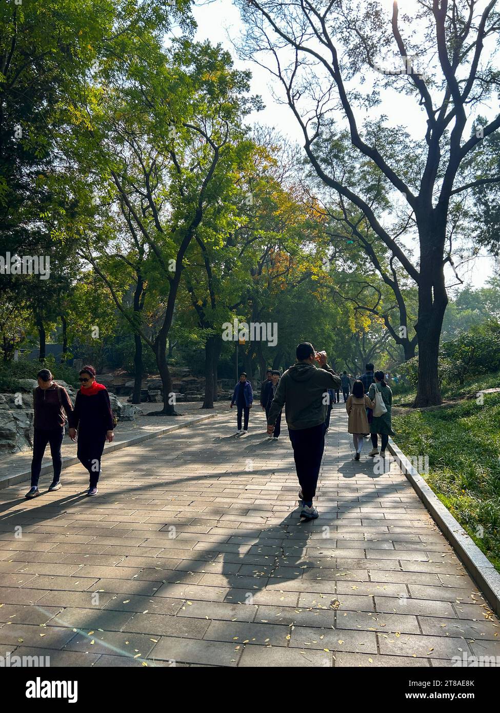 Beijing, China, Large Crowd People, Chinese Tourists Visiting, walking, Urban Park, 'Beihai Park', Autumn Path Stock Photo