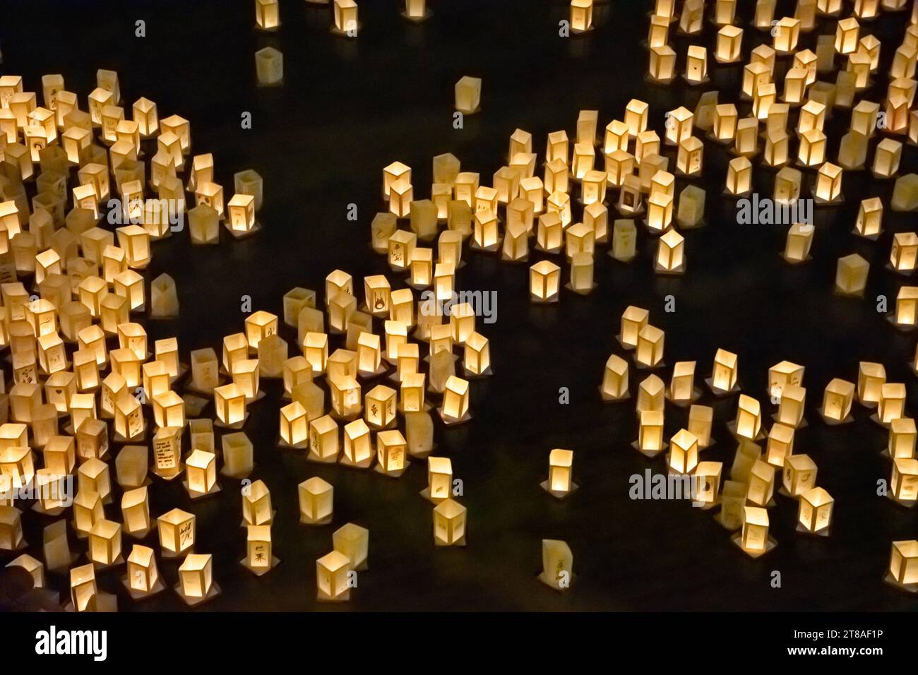 Japanese commemoration of atomic bombs with paper lanterns floating on water Stock Photo Alamy