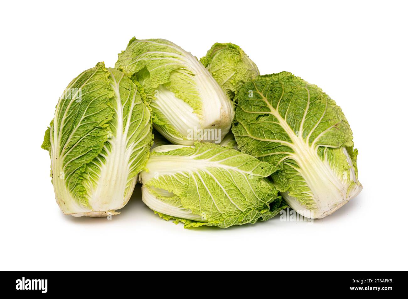 Fresh chinese cabbage isolated on a white background. Stock Photo