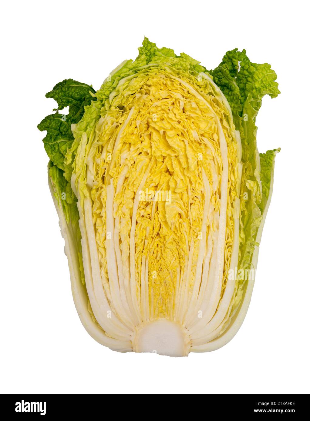 Fresh cut chinese cabbage isolated on a white background Stock Photo