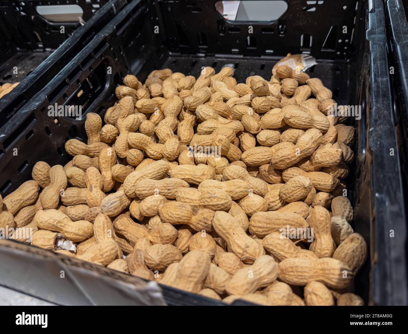 Bavaria, Germany - November 9, 2023: fresh peanuts in a black box in a food supermarket *** frische Erdnüsse in der Schale in einer schwarzen Kiste in einem Lebensmittel Supermarkt Credit: Imago/Alamy Live News Stock Photo