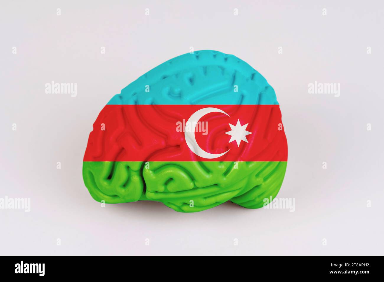 On a white background, a model of the brain with a picture of a flag ...