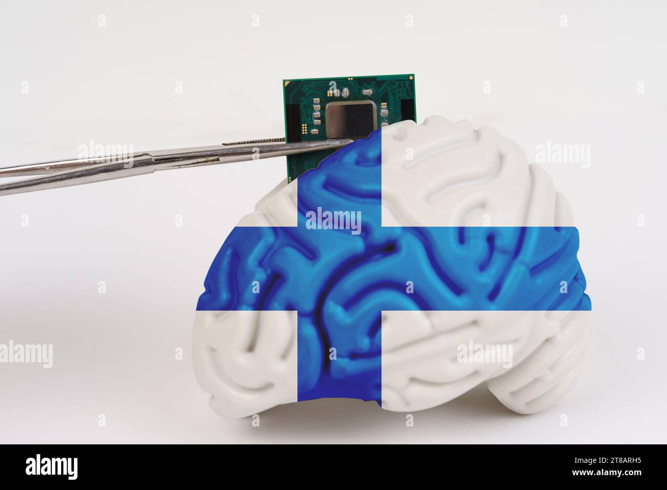 On a white background, a model of the brain with a picture of a flag ...