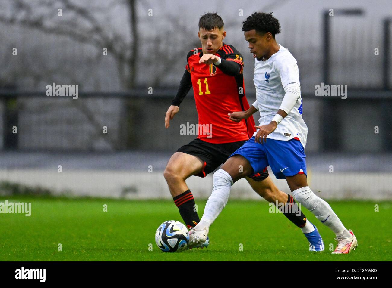 Tubize, Belgium. 18th Nov, 2023. Cedric Nuozzi (11) of Belgium pictured fighting for the ball with Therence KOUDOU (20) of France during a friendly soccer game between the national under 20 teams of Belgium and France on Saturday 18 November 2023 in Tubize, Belgium . Credit: sportpix/Alamy Live News Stock Photo