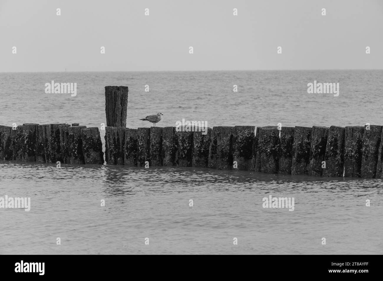 arbeiten auf wangerooge