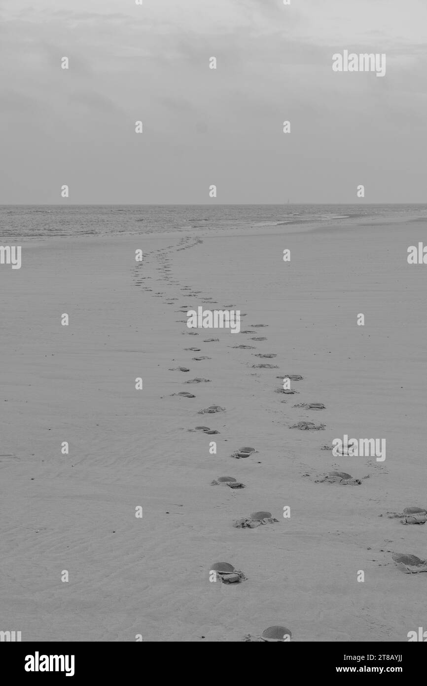 the island of Wangerooge Stock Photo Alamy