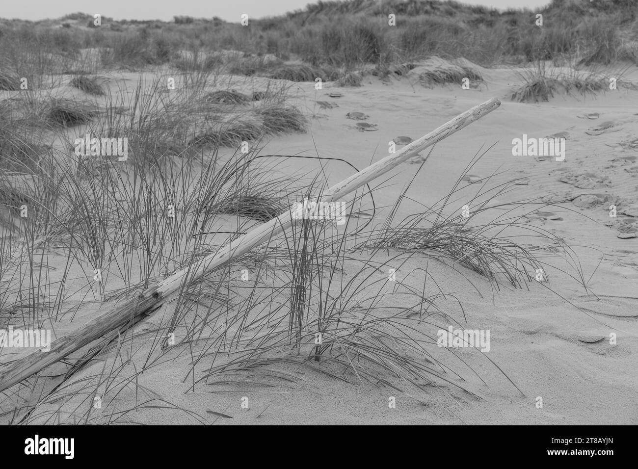 the island of Wangerooge Stock Photo Alamy