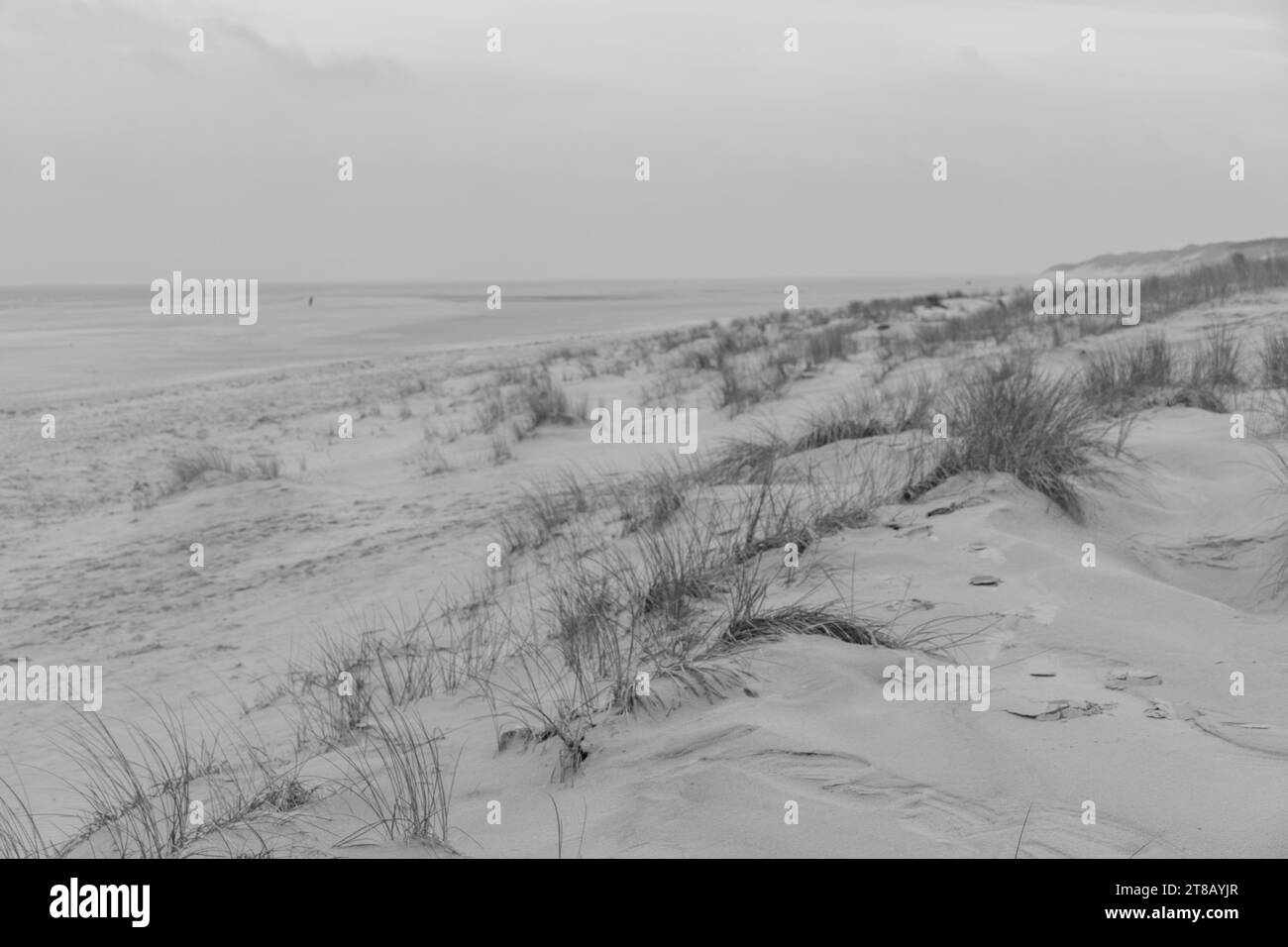 the island of Wangerooge Stock Photo Alamy