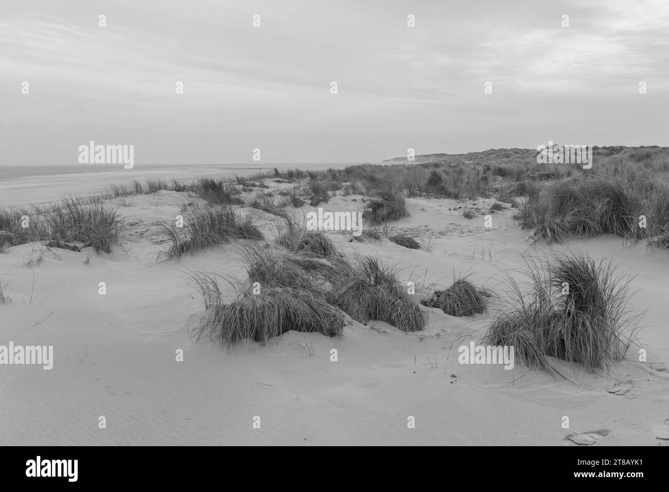 the island of Wangerooge Stock Photo Alamy
