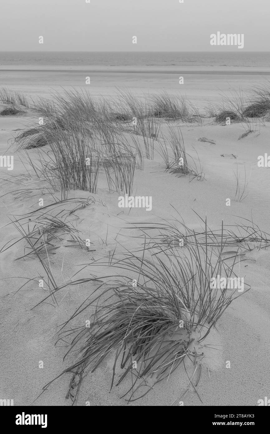 arbeiten auf wangerooge