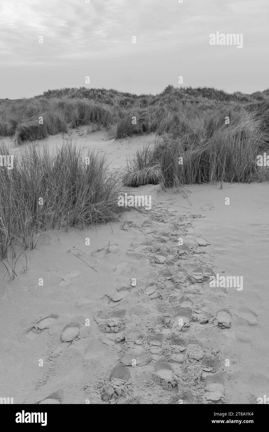 the island of Wangerooge Stock Photo Alamy
