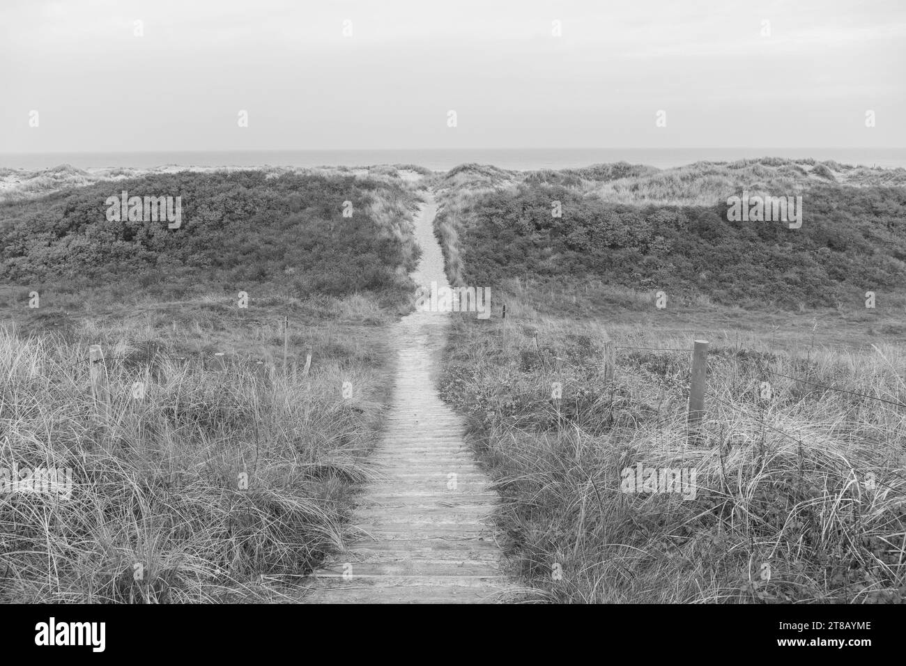 arbeiten auf wangerooge