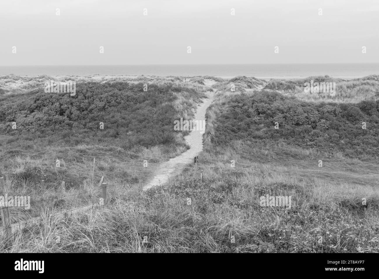 arbeiten auf wangerooge