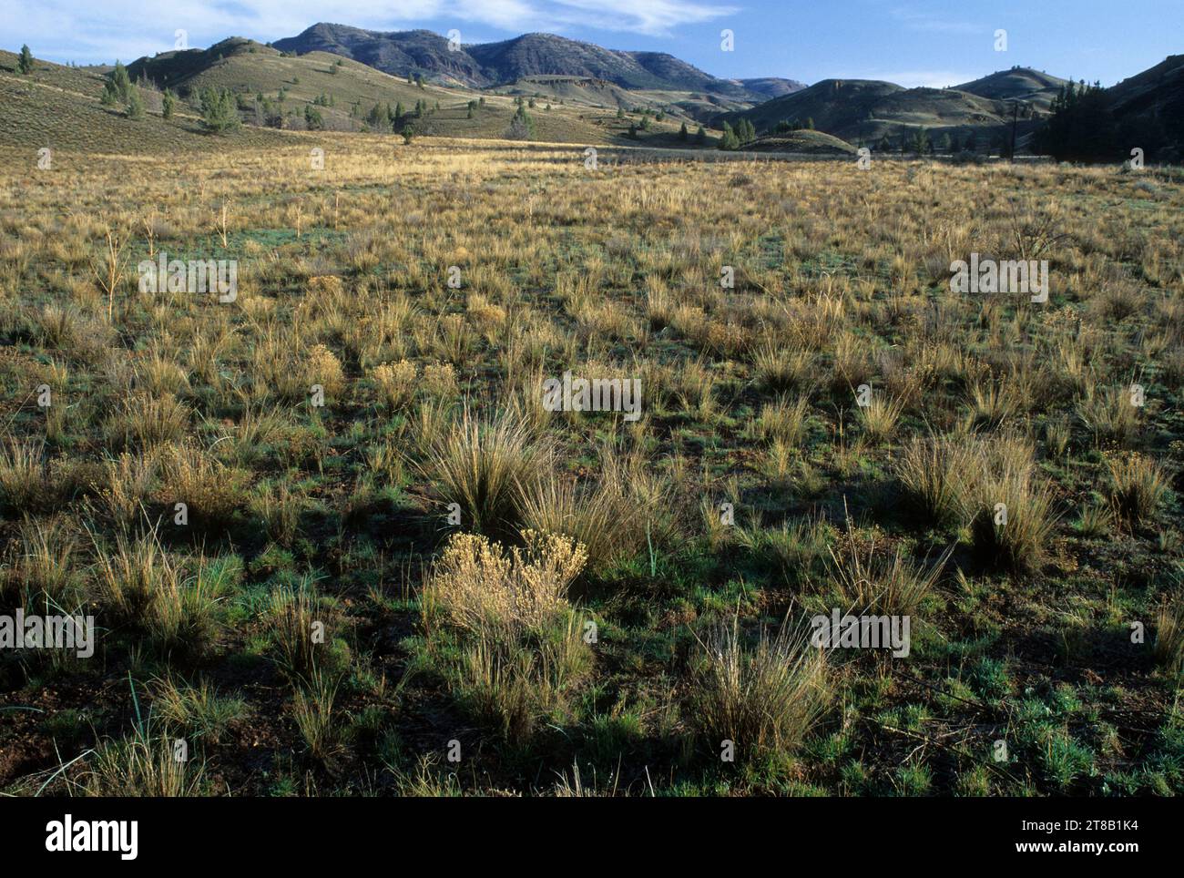 Clarno Unit Clarno hi-res stock photography and images - Alamy