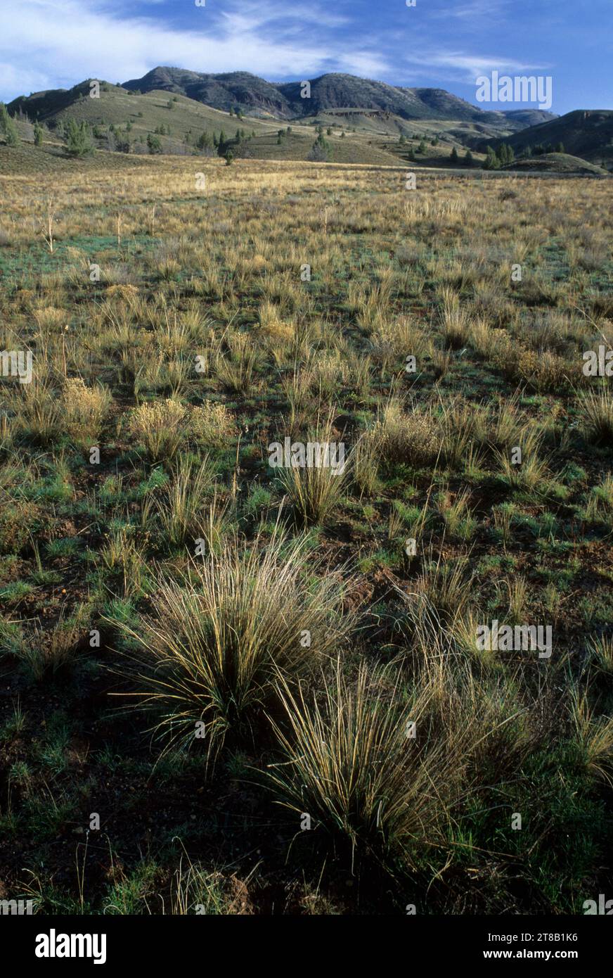 Clarno Unit Clarno hi-res stock photography and images - Alamy