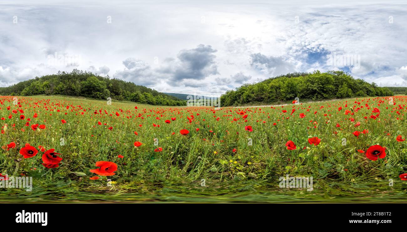 360 panorama food hi-res stock photography and images - Alamy