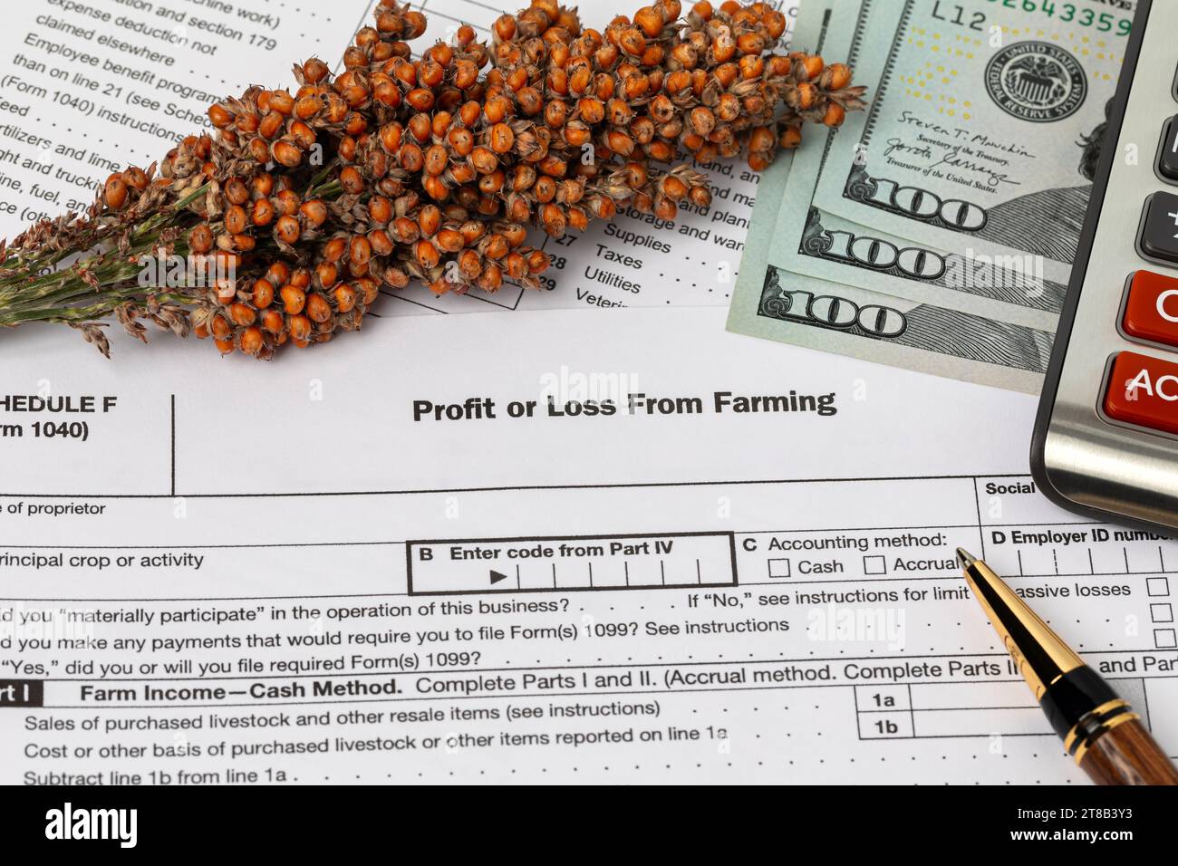 Grain plant inflorescence and farm tax form. Farming finances and management