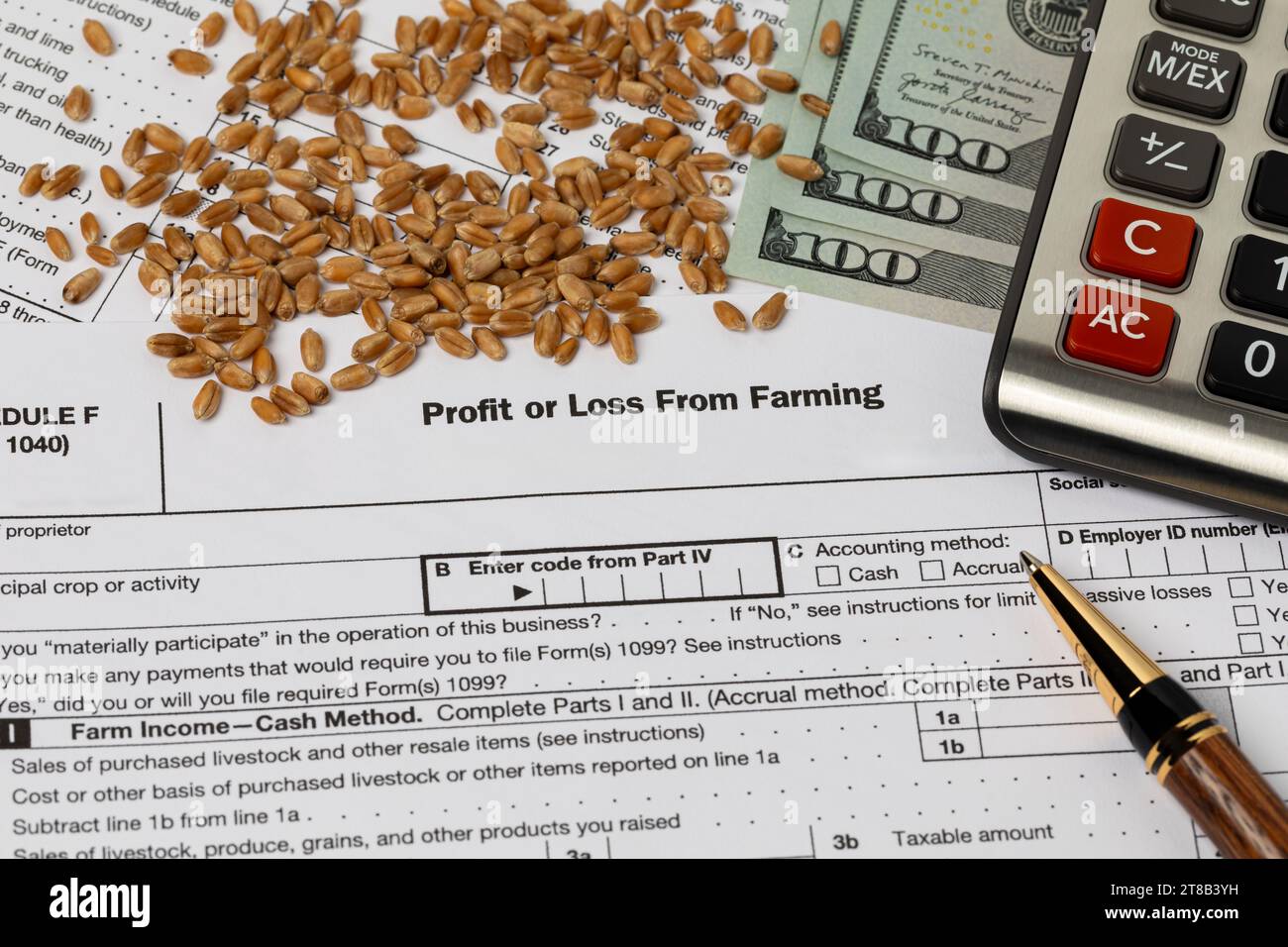Wheat seed and farm tax form. Farming income, finances and management concept. Stock Photo