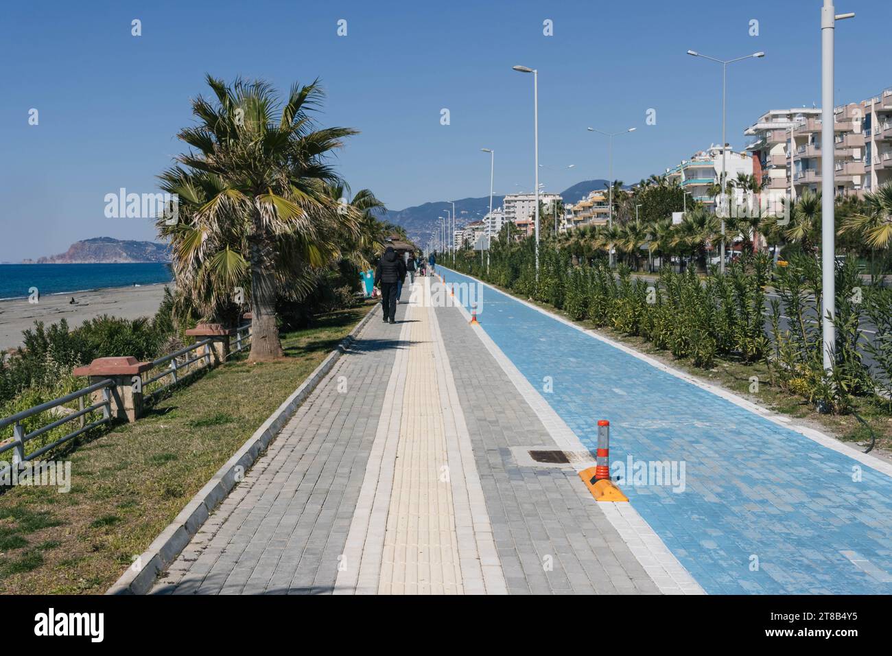 A blue cycle path and a path for pedestrians. Around the green trees ...