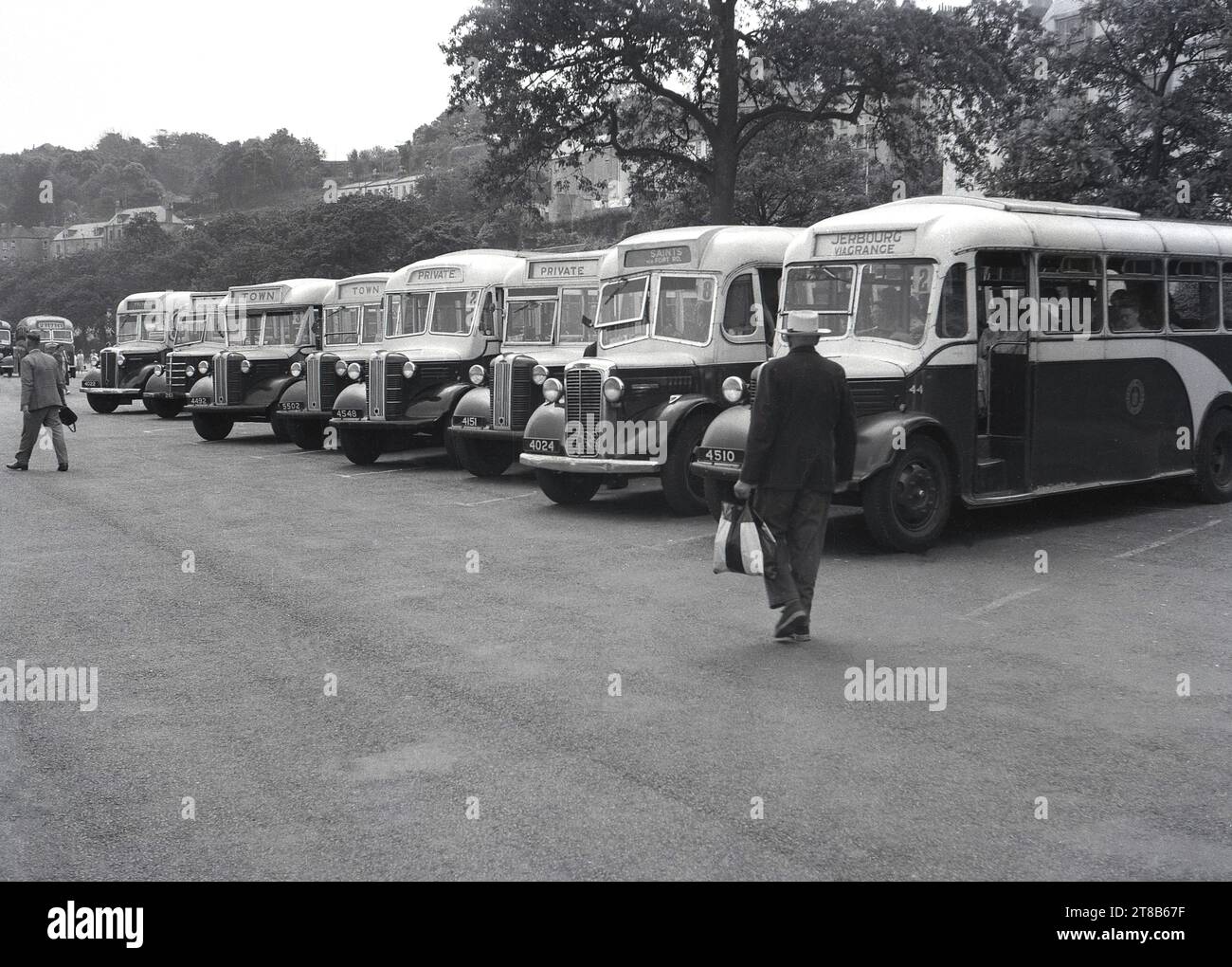 1950s, historical, tourist or excurison Bedford coaches of the era, parked up in a line on Guernsey, Channel Islands. Part of the part of the Guernsey Motor fleet, the destinations includde; Jerbourg via Grange, Saints via Fort Rd and the Town. Stock Photo