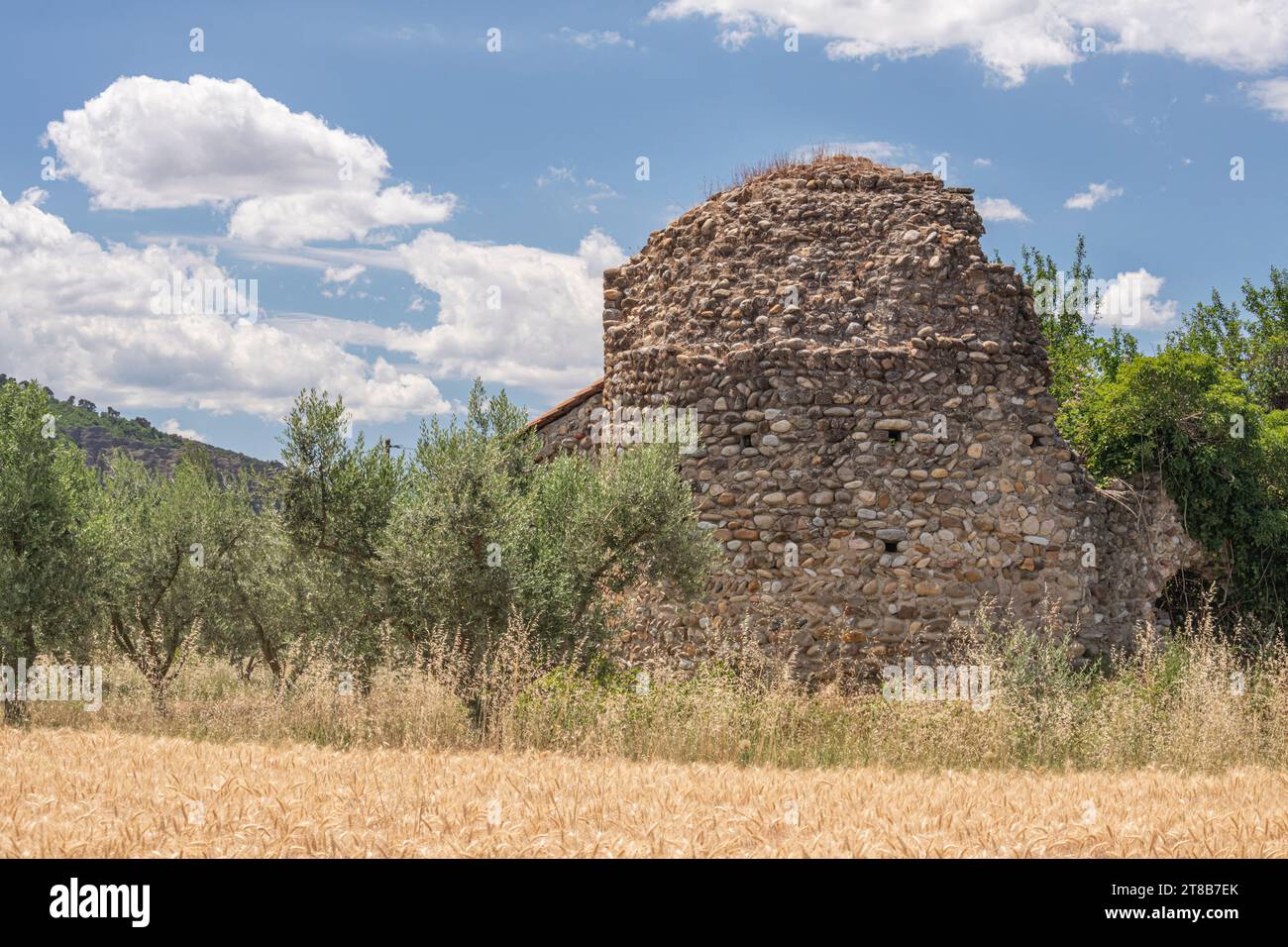 Single seemingly abandoned ruin of a stone cottage n the middle of a agricultural field and olive trees Stock Photo